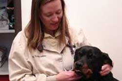 Vet in Taos, New Mexico: Salazar Road Veterinary Clinic: